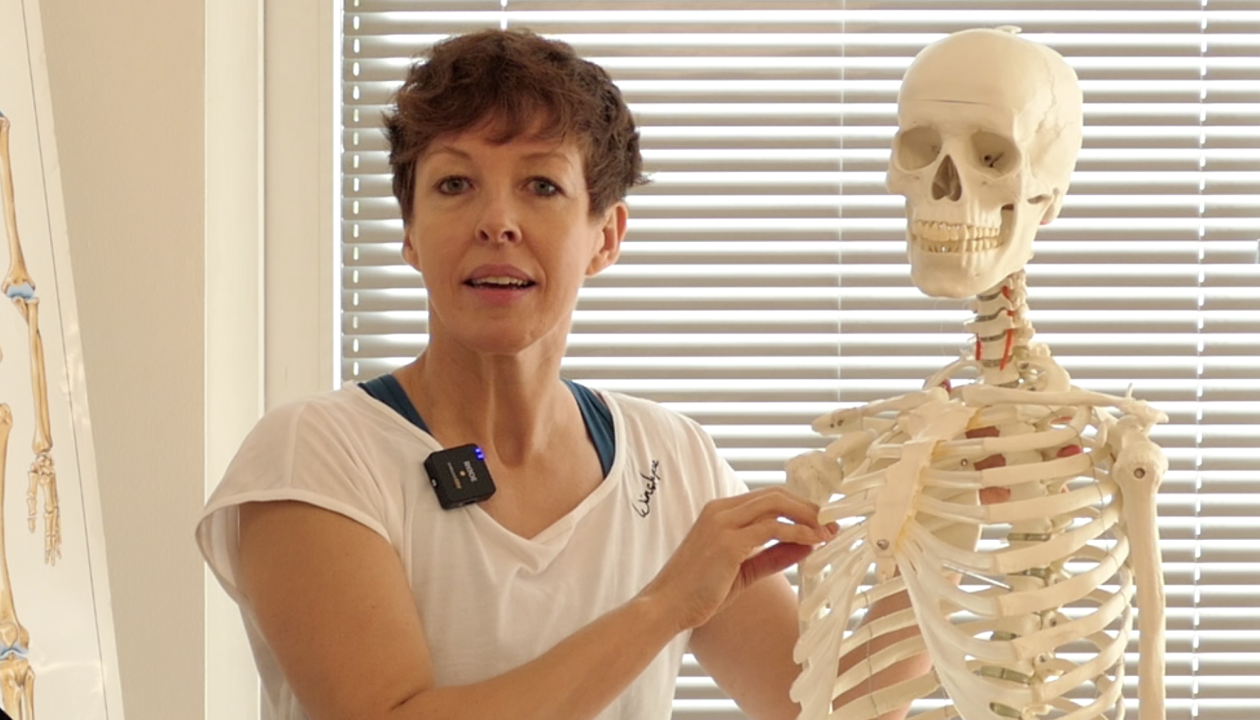 Jenni Karies hält den Brustkorb eines Skelettmodells