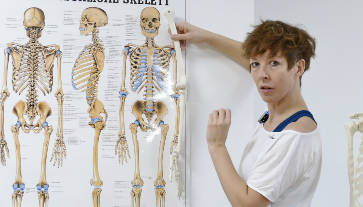Jenni Bergunde hält den Arm des Skelettes vor eine Abbildung mit Skeletten an der Wand