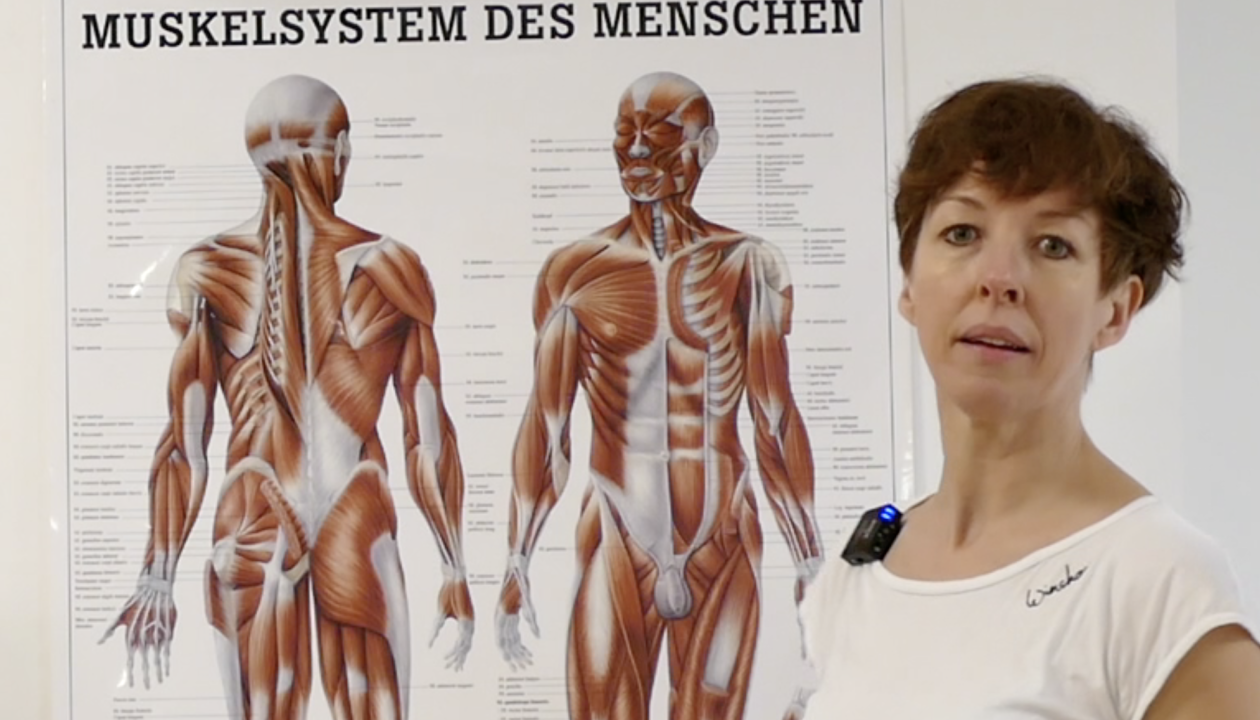 Jenni Bergunde neben einem Plakat, das das Muskelsystem beim Menschen zeigt.