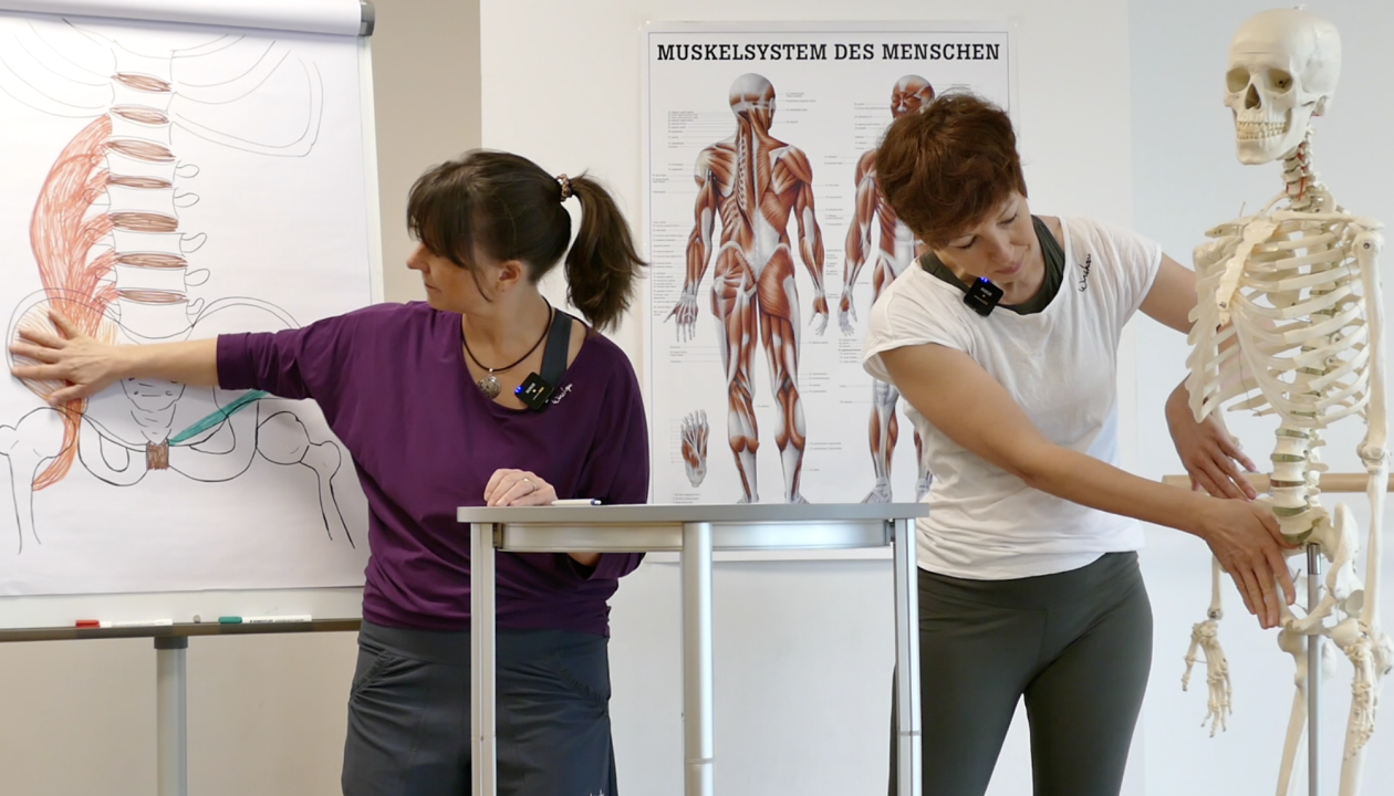 Kerstin Bredehorn zeigt mit ihrer Hand auf die Flipchart, Jenni Bergunde zeigt mit ihrer Hand auf die Beckenschaufel eines Skeletts.